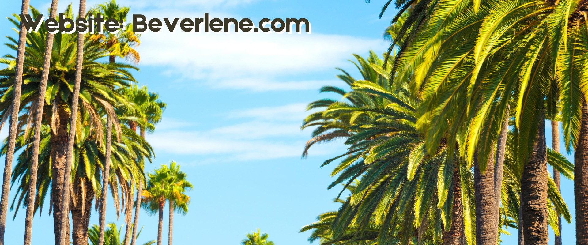 Is beverly hills the ultimate rich neighborhood?