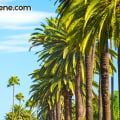 Is beverly hills the ultimate rich neighborhood?