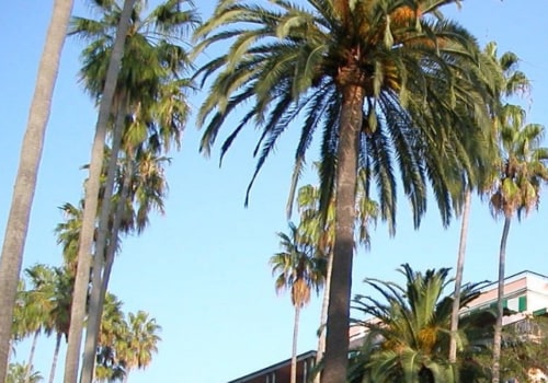 Who Owns the Iconic Beverly Hills Hotel?